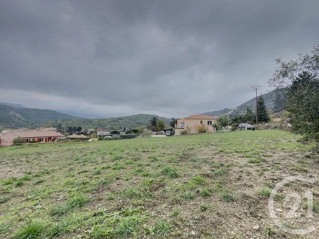 terrain à vendre - 2019.0 m2 - SOURNIA - 66 - LANGUEDOC-ROUSSILLON - Century 21 Horizon Canigou