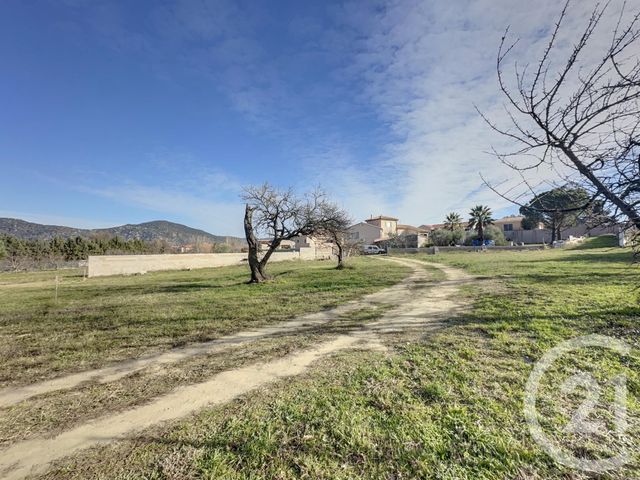 terrain à vendre - 1152.0 m2 - VINCA - 66 - LANGUEDOC-ROUSSILLON - Century 21 Horizon Canigou