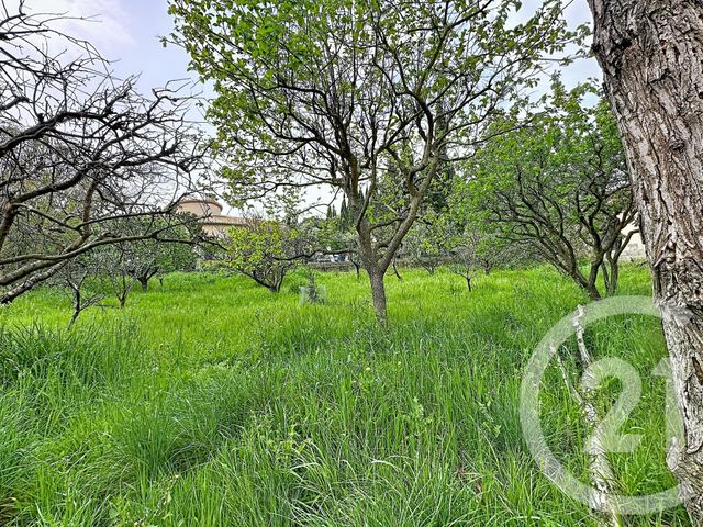 maison à vendre - 4 pièces - 102.96 m2 - RODES - 66 - LANGUEDOC-ROUSSILLON - Century 21 Horizon Canigou